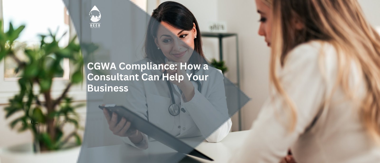 NEER-CGWA Compliance How a Consultant Can Help Your Business
