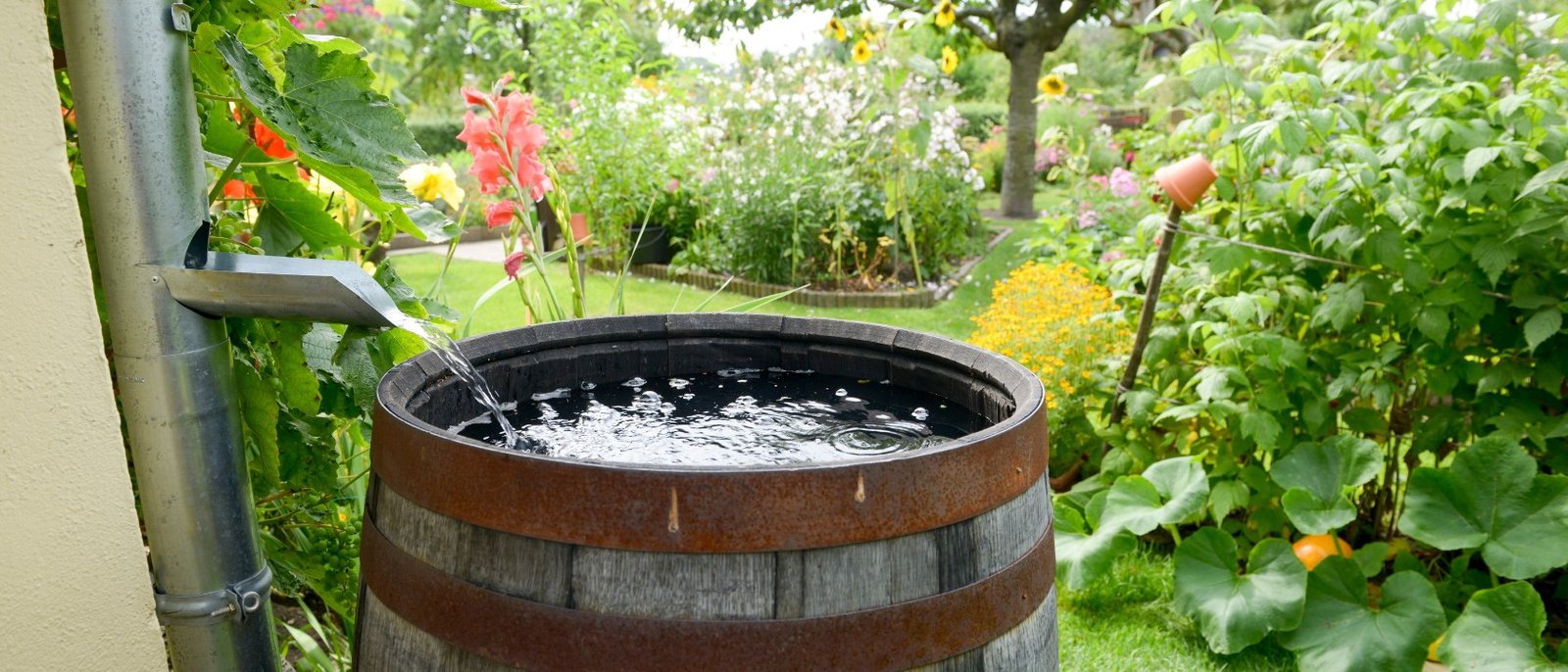 NEER-Maximize Your Water Efficiency with Smart Rain Water Harvesting Techniques