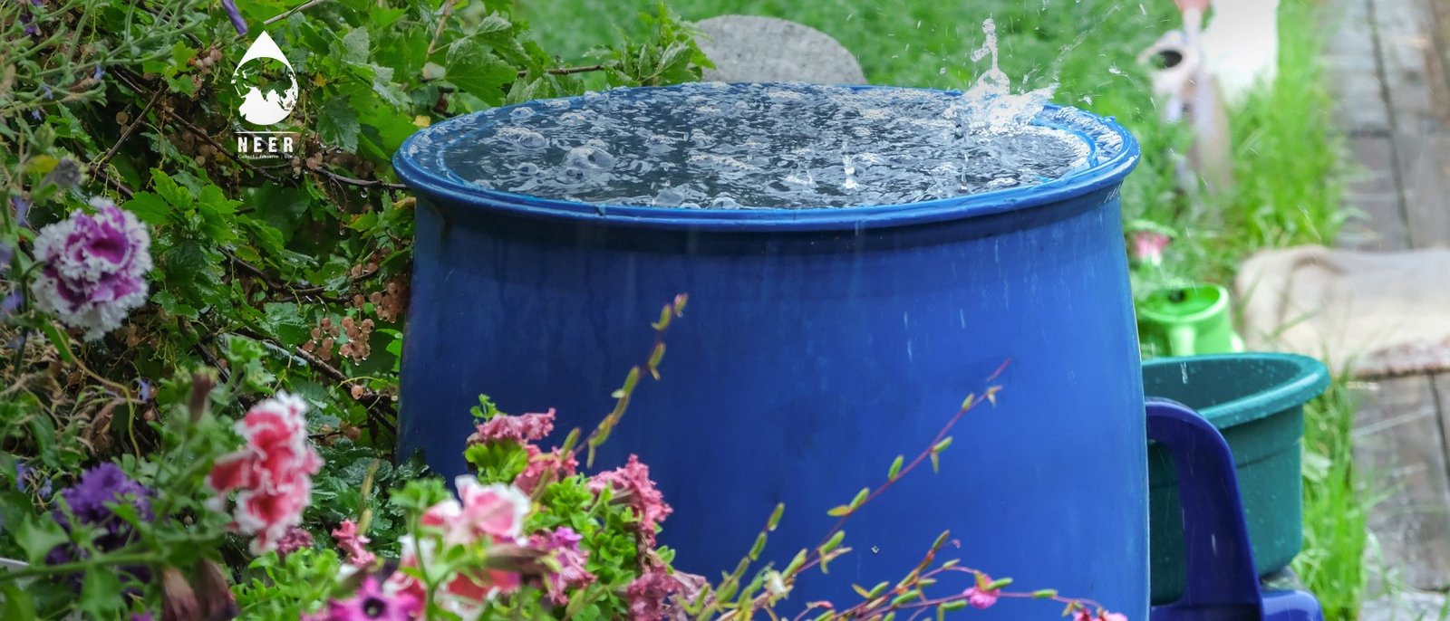 NEER-Unlock the Benefits of Rainwater Harvesting for Your Home