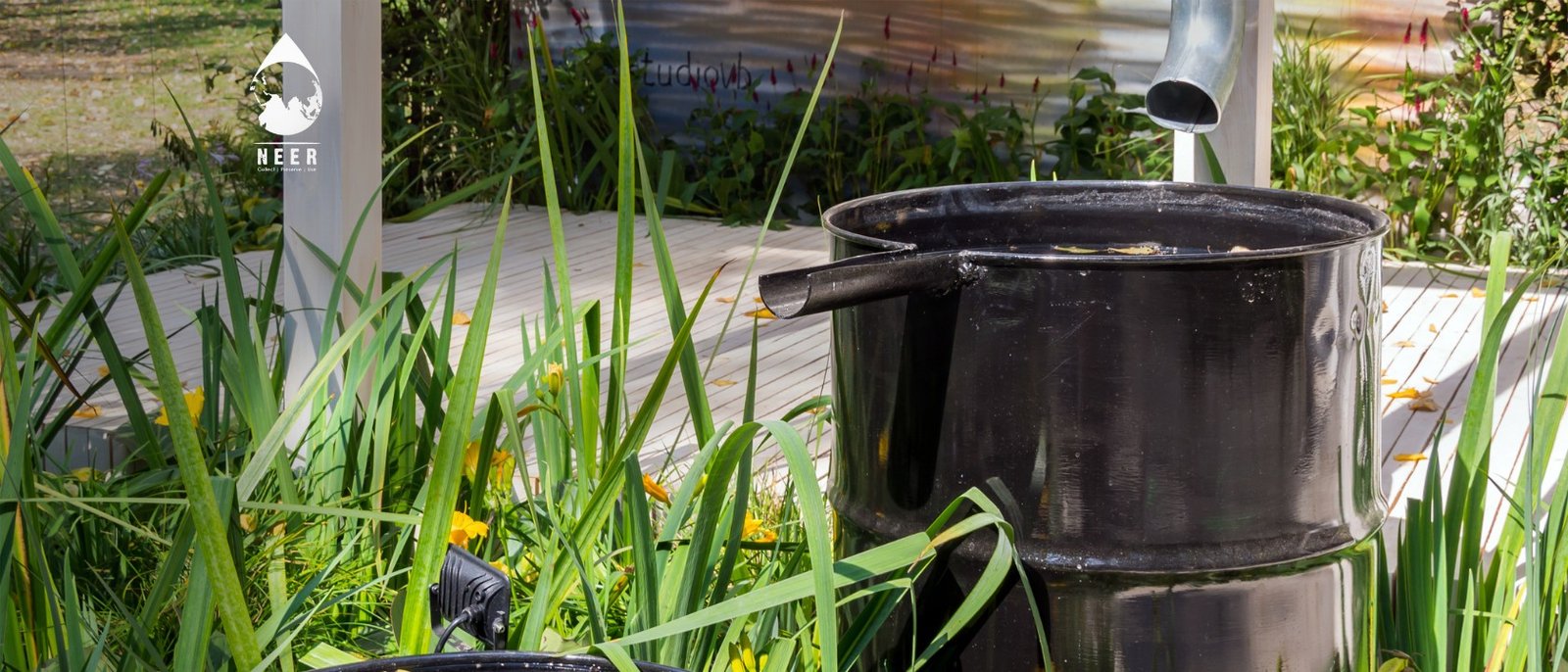 NEER-Why Rainwater Harvesting is the Future of Sustainable Living