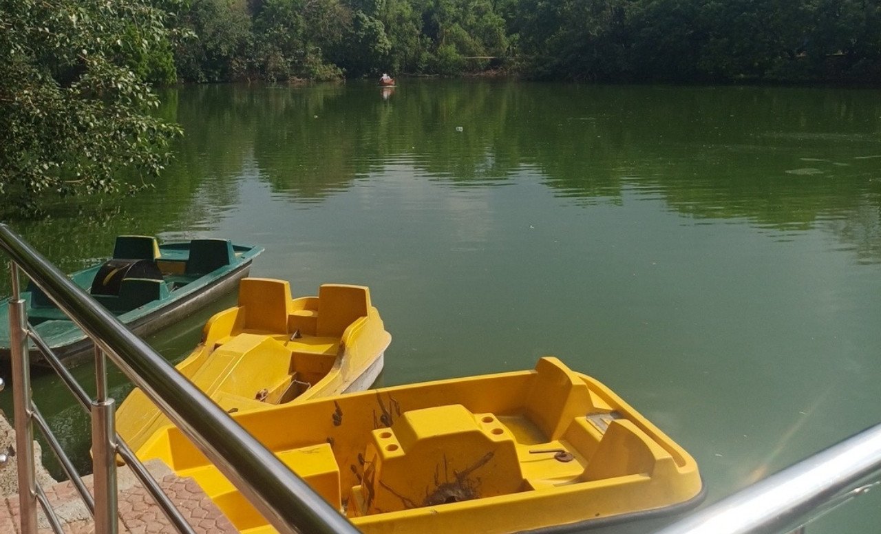 NEER - Projects - NEER NEER - Projects