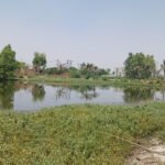 NEER Projects - SIMBHAOLI SUGAR LIMITED Unit Sugar Pond, Nevada - NEER NEER Projects - SIMBHAOLI SUGAR LIMITED Unit Sugar Pond, Nevada