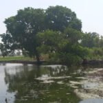 NEER Projects - SIMBHAOLI SUGAR LIMITED Unit Sugar Pond Nevada 2 - NEER NEER Projects - SIMBHAOLI SUGAR LIMITED Unit Sugar Pond Nevada 3