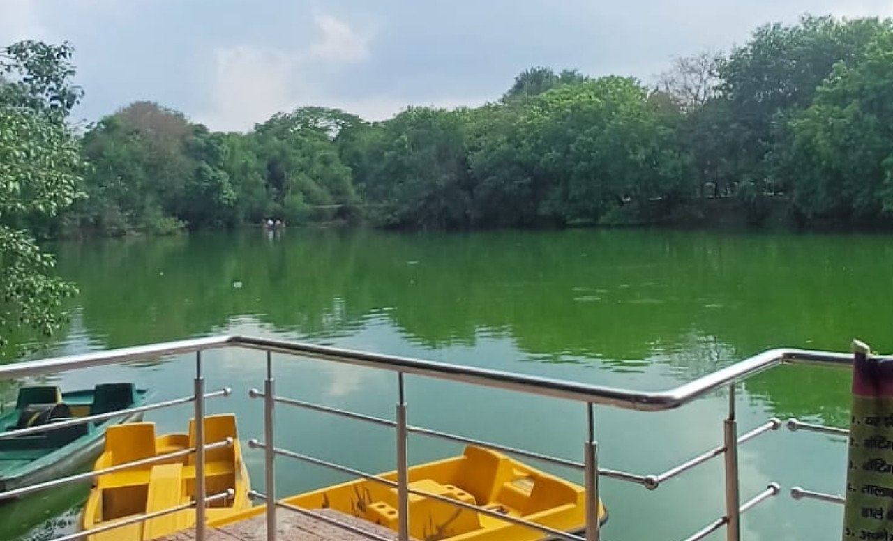 NEER - Projects - NEER NEER - Projects