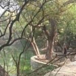 Neer - Lake and Park Restoration Project - NEER Neer - Lake and Park Restoration Project