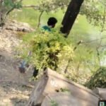 Neer - Lake and Park Restoration Project - NEER Neer - Lake and Park Restoration Project