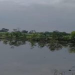 Neer - SIMBHAOLI SUGAR LIMITED Jadhopur Pond Project - NEER Calm lake with a tree-lined bank and cloudy sky, reflection visible on the water surface.